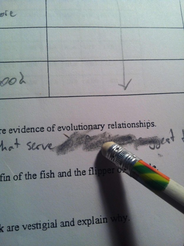 That’s not an eraser on the end of your pencil; IT’S A GODDAMNED LIE.